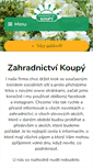 Mobile Screenshot of koupy.cz